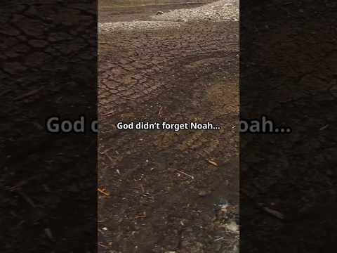 God Remembered Noah—A Promise in Genesis 8:1-5. #GodRememberedNoah #Genesis8 #BibleVerse #FaithInGod