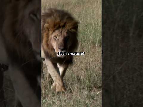 Adam Names the Animals – Genesis 2:19-20 Bible Story. #BibleStory #Genesis21920 #AdamAndTheAnimals