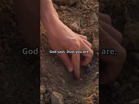 Dust You Are – A Deep Look at Genesis 3:17–19 and Mortality. #Genesis31719 #BibleReflection #Dust