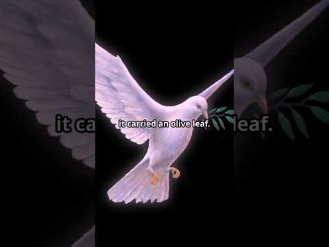 The Raven and the Dove—A Lesson from Genesis 8:6-12. #BibleShorts #Genesis #FaithInGod #DoveAndRaven